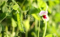 NBA总决赛系列赛长度与结果预测，nba总决赛赛制介绍