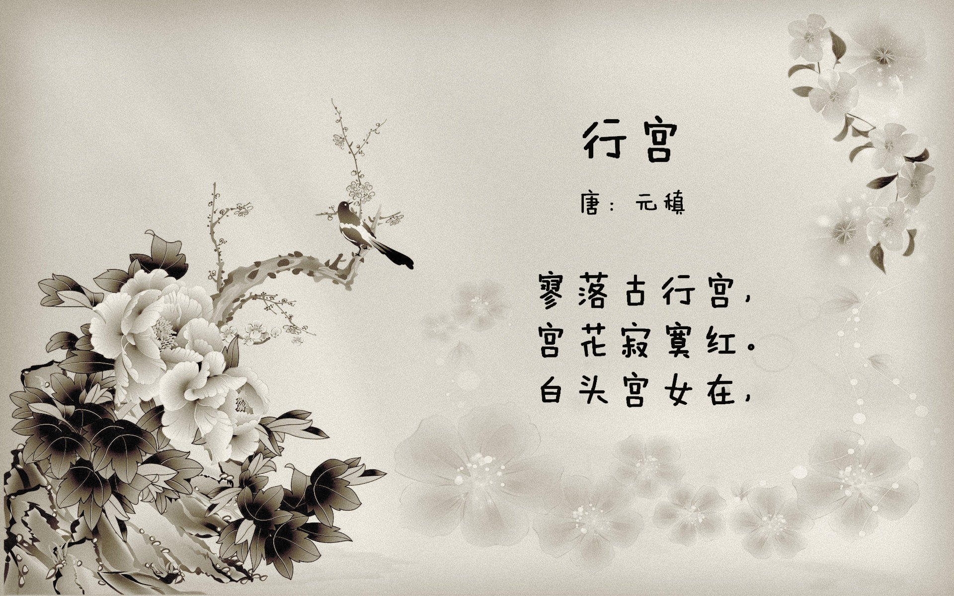 世界拳击超级夜：重量级对抗点燃观众热情，世界拳击超级系列赛